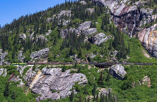 Half-Day Skagway City Tour and White Pass Summit Adventure