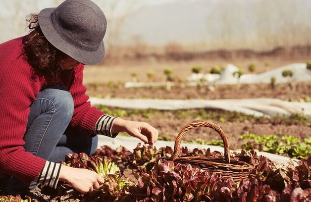 Private Earth Experience in Mendoza