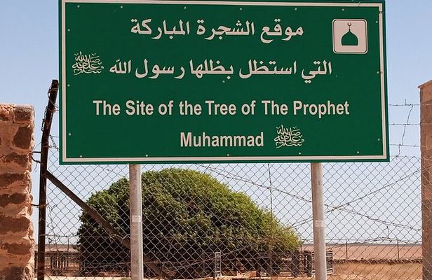 Tree of Al Buqayawiyya and Seven Sleepers Cave Private Tour 