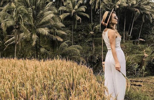 Wonderful of Ubud Tour - (Private & All-Inclusive)