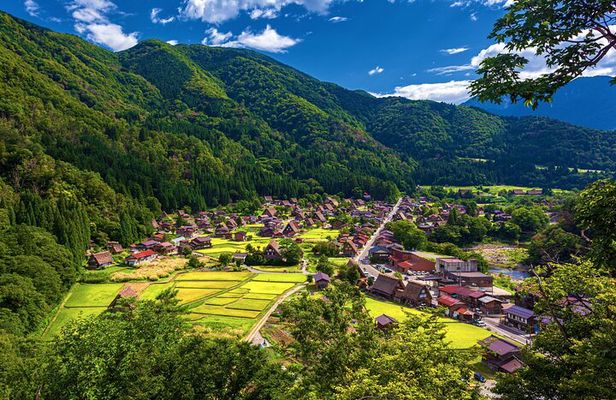 Shirakawago Day Trip: Government Licensed Guide & Vehicle from Takayama