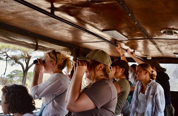 Best Safari and Zanzibar 10-Days Excursions