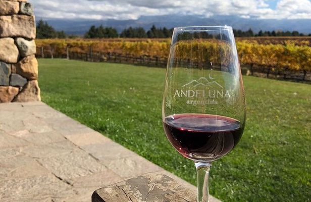 Private Tour in Valle de Uco