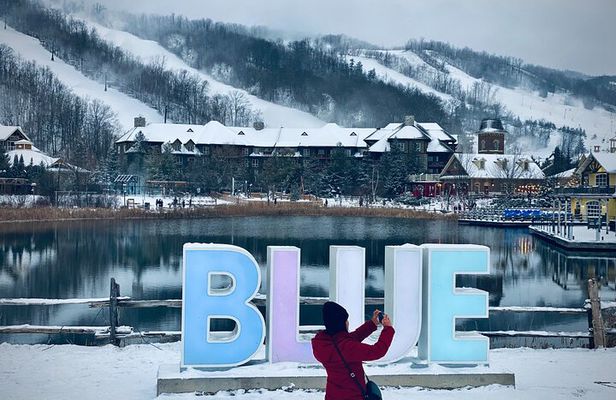 Blue Mountain and Scenic caves of Collingwood