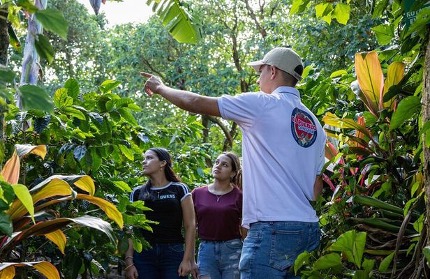El Pueblo Coffee Tour Monteverde