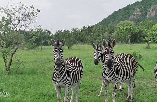 Shai Hills Half Day Accra Safari, Hike & see Animals
