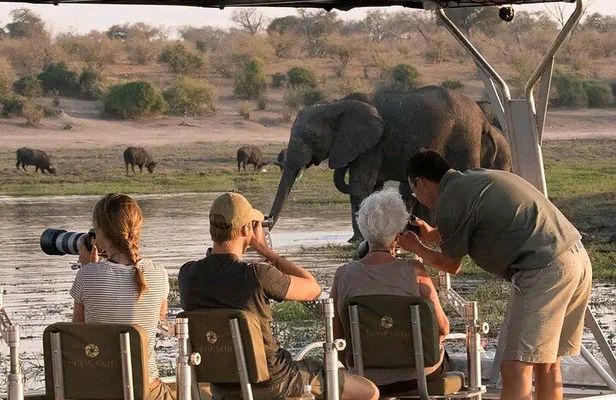 Full-Day Chobe Trip Botswana
