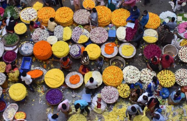 Lalbagh+Bull Temple+Tipu Palace+Market+Lunch=Bangalore City Tour