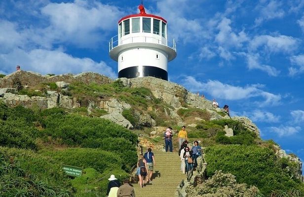  Cape Point Full Day Tour
