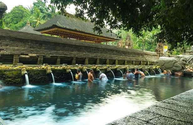 Ubud Monkey Forest, Holy Water Temple & Waterfalls Tours