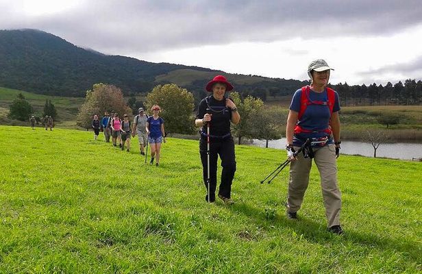 4-Day Private Natal Midlands Falls to Falls Tour