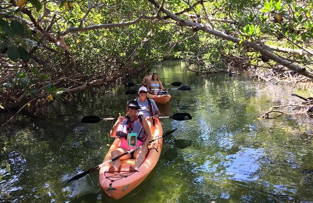 Mangroves and Manatees - Guided Kayak Eco Tour