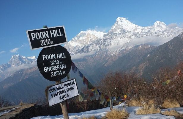 5 Days Ghorepani Poonhill Trek