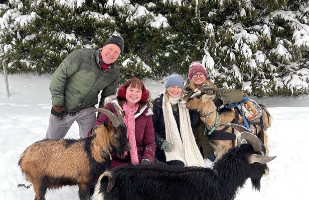 Snowshoeing with mountain goats Private activity