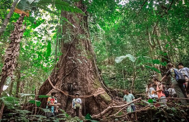Full-Day Trekking and Sightseeing Tour in Mae Kampong