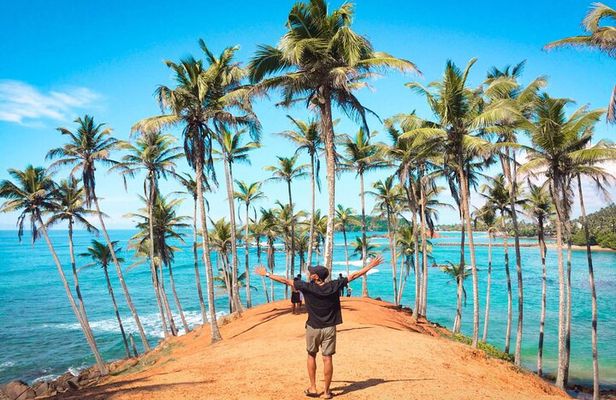 Tailor-made Multi-day Private Tour Packages in Sri Lanka