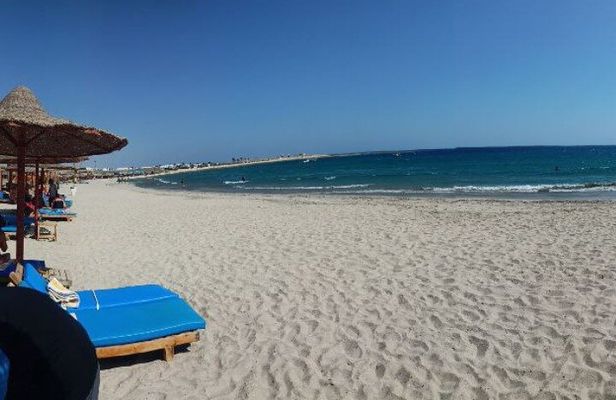 Snorkeling with Turtles - Experience in Abu Dabbab 
