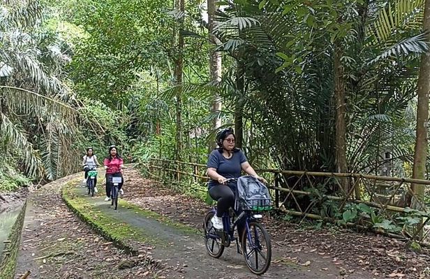 Electric bicycle tour in quaint South Ubud
