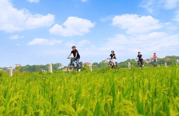 Ninh Binh Full-Day Tour from HANOI (Group of 9 with Best Care)