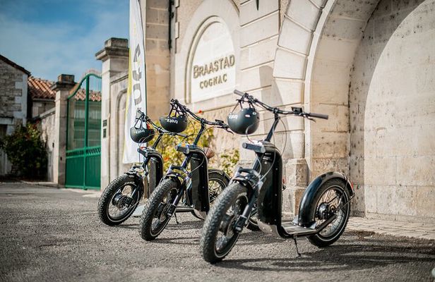 1 hour walk - The Gabarres river route