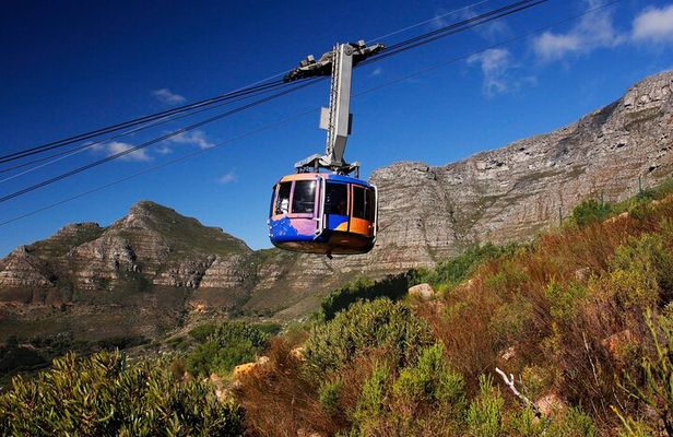 Cape Town Table Mountain Cape Point Penguins Full-Day Private Tour
