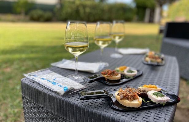 Guided E-Bike tour with food and wine tasting.