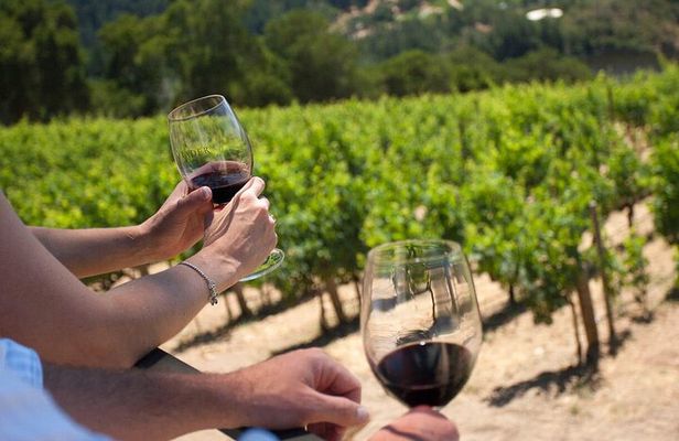 Wine tasting in TWO family wineries around Florence
