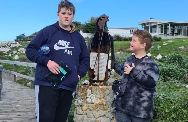 Full-Day Tour Stony Point Penguin Colony at Betty's Bay (up to 10 persons)