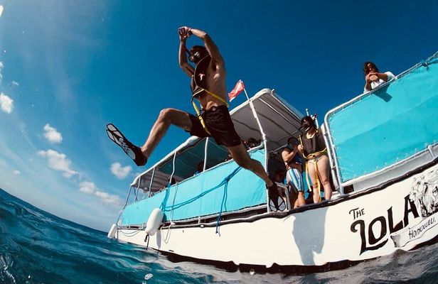 Waikiki Snorkel Tour