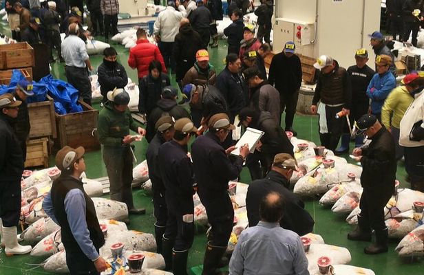 Complete Tuna Auction & Toyosu Fish Market Tour