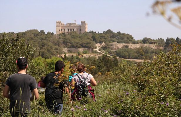 Buskett Woodlands and Dingli Cliffs Nature Walking Private Tour