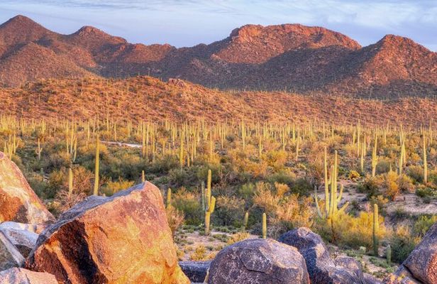 Saguaro National Park East E-Bike Tour