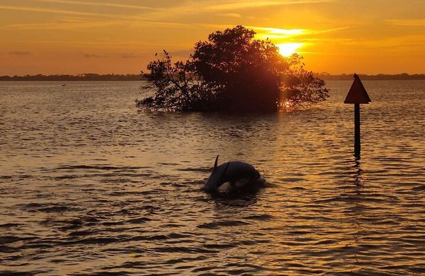 Sunset Cruise on the Beautiful Banana River