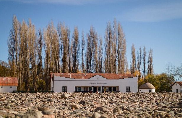 Patagonia National Park Full Day Private Tour