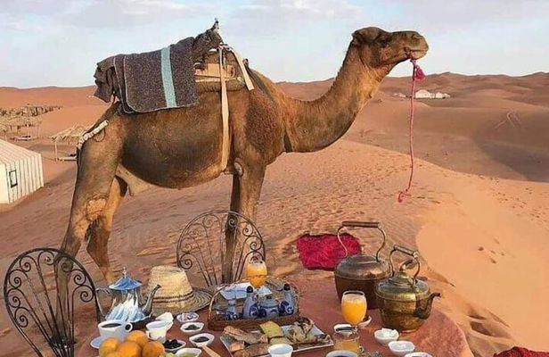Desert tour from marrakech