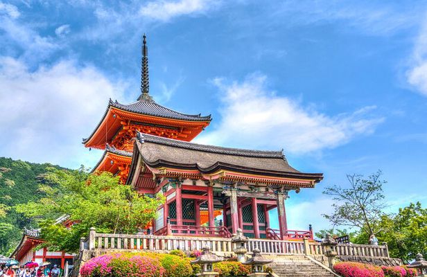 Kyoto Full Day (8 hours) Ultimate Sightseeing Private Tour
