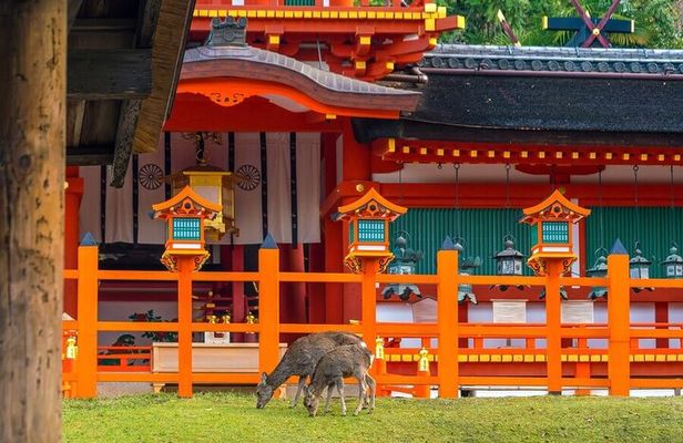 Private Customized 3 Full Days Tour Package: Discover Kyoto, Arashiyama and Nara