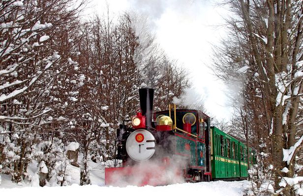 Half-Day Tierra del Fuego National Park with Train