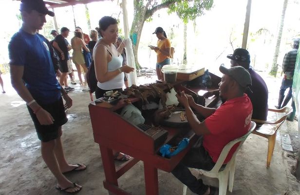 Full Day Punta Cana Safari with Lunch by the River
