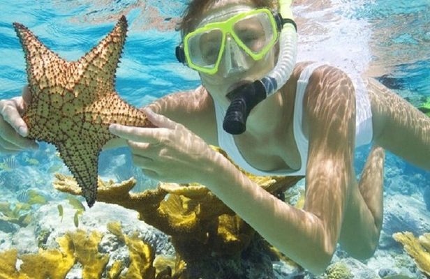 Private Boonze cruise and Snorkeling at Punta cana