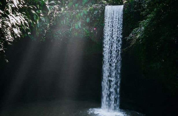 Ubud Hidden Waterfalls and Rice Terrace Tours