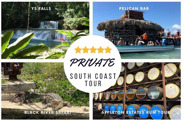 YS Falls, Black River Safari, Appleton Rum Tour OR Pelican Bar (Choose Up to 3)
