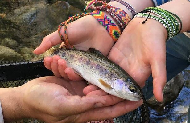 Family Fun Private Half Day Fly Fishing Adventure