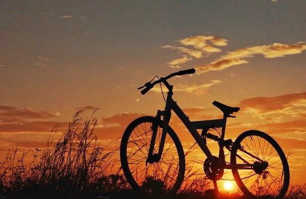 "Luxor's East Bank: Ancient Wonders by Bike (3-Hour Adventure)"