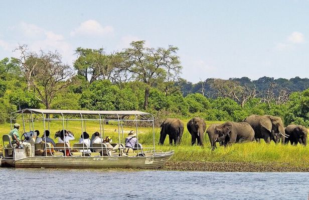3 Hours Chobe River Boat Cruise