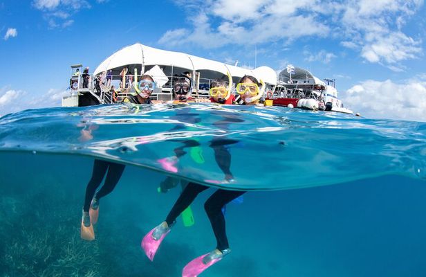 Great Barrier Reef Adventure from Cairns including Snorkeling