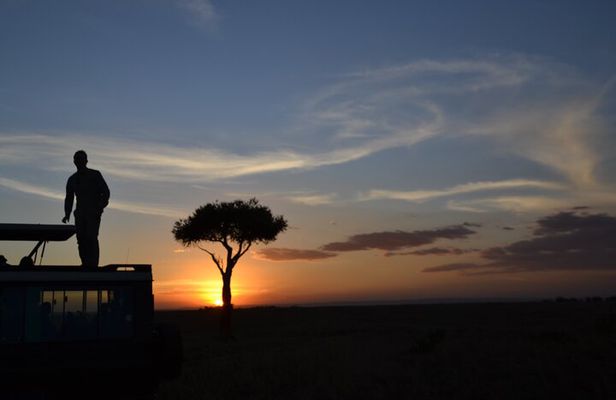 3 Days Magical Maasai Mara Private Tour
