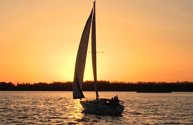 Private Boat Tour to Rio de la Plata and Delta El Tigre with Wine on Board