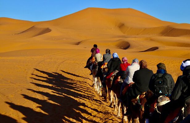 Camel Ride With Luxury Desert Camp And Night In Merzouga Dunes