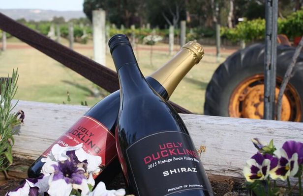 Wineries Bus Tours
